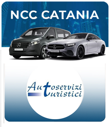 Web Agency Catania -  TaliaWeb